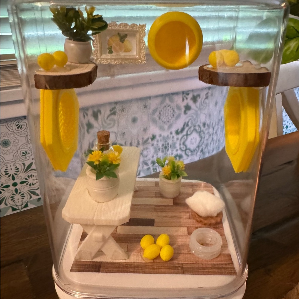 Jumping Spider Enclosure Custom Made